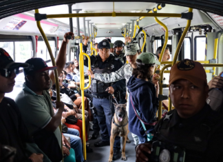 Aseguran sustancias ilícitas durante operativo en RUTA del Parque Juárez