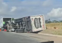 Volcadura de camión tipo Torton afecta la Amozoc-Perote