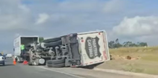 Volcadura de camión tipo Torton afecta la Amozoc-Perote