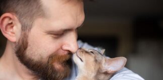 ¿Por qué se celebran tres Días del Gato en el año?