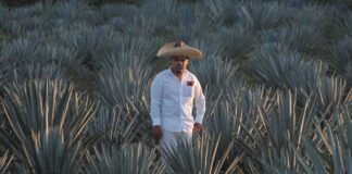 Puebla, segundo lugar nacional en producción de mezcal
