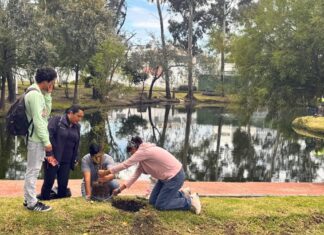 BUAP siembra 20 ahuehuetes en Ciudad Universitaria