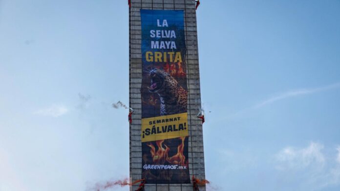 Estela de Luz-Activistas-Manta-Selva Maya