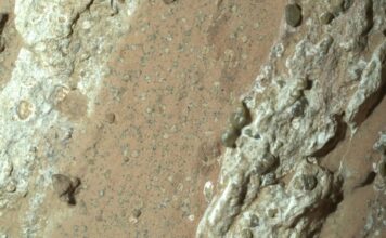 Perseverance detecta posibles huellas de vida en Marte