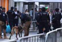 Reporta SSP saldo blanco durante los festejos patrios