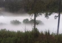 Fuga de gas por toma clandestina obliga a evacuar a 3 mil personas en Tlaxcala