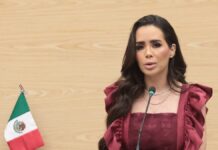 Impulsan exhorto para atender a animales en situación de calle