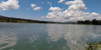 Presentarán proyecto para retirar lirio acuático en Valsequillo