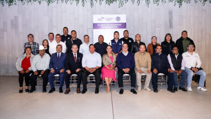 Lupita-Cuautle-9-Mesa-Seguridad-Intermunicipal
