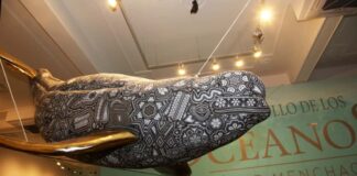 Visitan 200 mil personas “El Murmullo de los Océanos” en Puebla