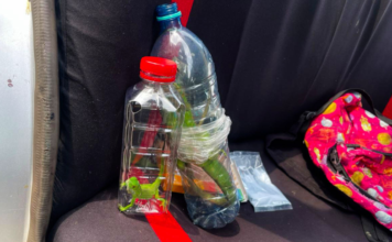 Rescatan 40 animales víctimas de tráfico ilegal en Tabasco