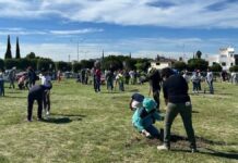 Ayuntamiento de Puebla planta 590 árboles en jornadas de reforestación