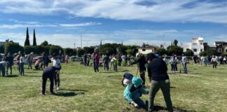 Ayuntamiento de Puebla planta 590 árboles en jornadas de reforestación