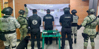 SSP realiza operativos simultáneos en penales de Tepexi y Cholula