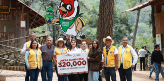 Zacatlán cumple meta de 320 mil árboles plantados en 2025