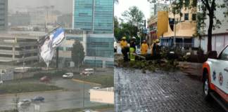 Caída de espectacular y árbol tras intensa lluvia en Puebla