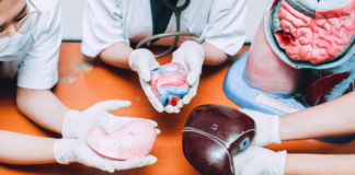 Presentan iniciativa para agilizar donación de órganos en Puebla