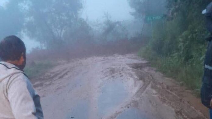 Camino