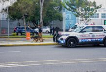 SSC refuerza seguridad en Ciudad Universitaria