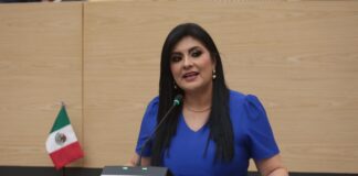 Diputada propone atender salud mental de madres en servicios públicos