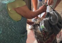 Juan Manuel Alonso entrega 6 mil despensas en Texmelucan