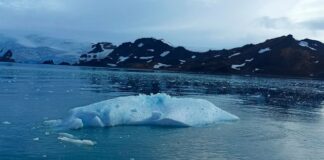 Deshielo antártico expone contaminantes atrapados en el hielo