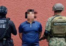 Capturan a presunto extorsionador de limoneros en Michoacán