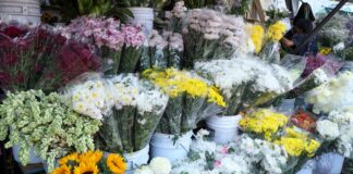 Dan permiso a 260 vendedores para instalarse fuera de panteones en Puebla