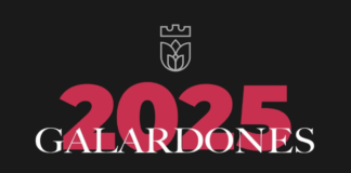 Fundación Salvatierra reconoce a líderes en su 4ª edición de galardones