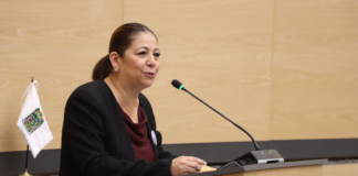 Aprueban licencia por tiempo indefinido de Laura Artemisa