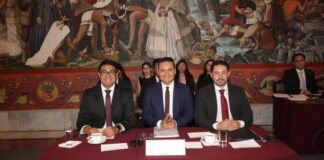 Suman más de 10 mil esterilizaciones y 84 mil vacunas de mascotas en Puebla