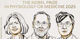 Trío de científicos recibe Nobel de Medicina por trabajo sobre sistema inmunológico