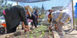 SEDIF invierte 100 mil pesos para equipar huerto productivo en Nopalucan