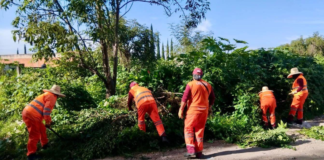 Han limpiado más de 250 mil km de vialidades en la capital poblana
