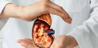 Enfermedad renal crónica afecta a 15 millones en México
