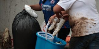 Suman mil censos para cuantificar daños en Huauchinango y Xicotepec