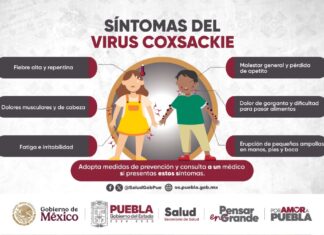 Descartan emergencia epidemiológica por virus coxsackie en Puebla