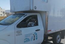 Matan a conductor de vehículo de carga en la México-Puebla