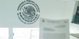 Denuncian envenenamiento de mascota en Texmelucan