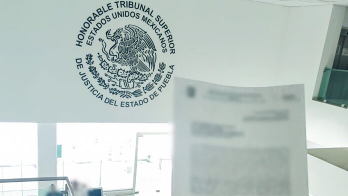 Tribunal