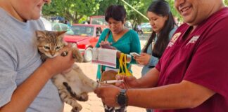 Cuautlancingo concientiza a estudiantes contra maltrato animal