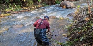 Aún hay dos desaparecidos tras fuertes lluvias en Sierra Norte