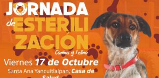 Habrá esterilización canina y felina gratis en Atlixco, el 9 y 17 de octubre