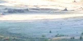 Llega la primera helada de la temporada en la Sierra Norte de Puebla