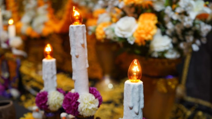 instalación-ofrendas-altares