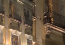 VIDEO: Captan a mono araña en los balcones del Zócalo de Puebla