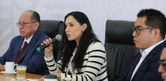 Inicia reforestación con 50 mil pinos en el Parque Nacional “La Malinche”