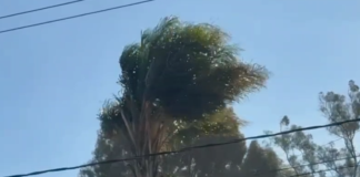 Alertan por ráfagas de viento en Puebla Capital; emiten recomendaciones