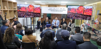 Puebla impulsa economía con “Foro Navideño 360” y “Dreamfields”