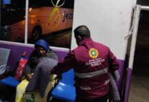 Heladas afectan zona alta de Zacatlán; extreman precauciones